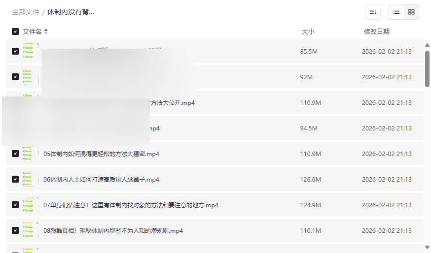 《体制内生存与发展指南》视频课程网盘资源下载,没有背景的年轻人如何脱颖而出-云盘资源分享