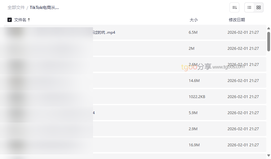 《TikTok电商从0到千万GMV实战课》完整版网盘资源下载-云盘资源分享