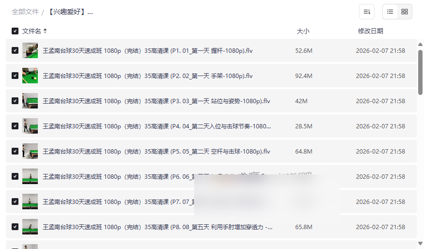 王孟南台球30天速成班高清视频教程网盘下载，从新手到高手系统教学-云盘资源分享