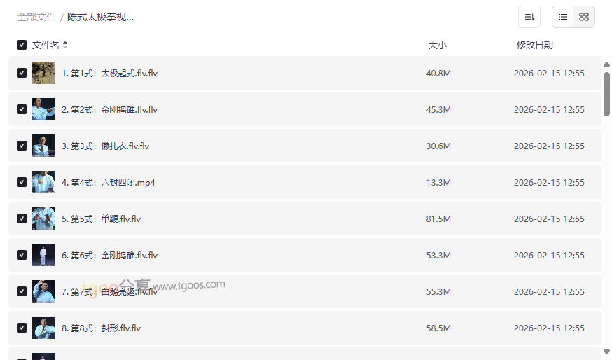 《陈式太极拳老架一路74式》高清分解教学视频网盘资源下载-云盘资源分享